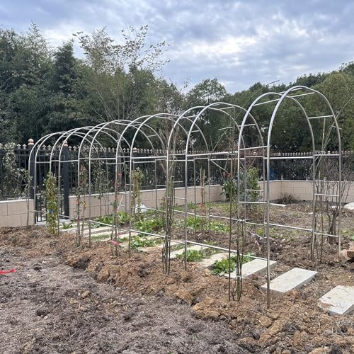 Arche de jardin en acier de 240 cm pour plantes grimpantes et potager durable - 2