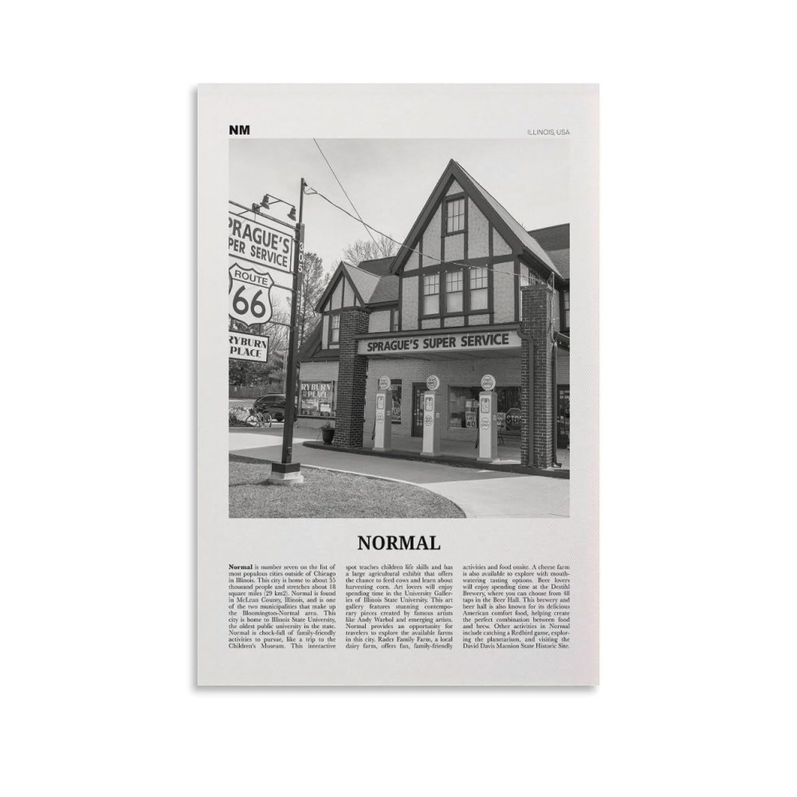 LZTEN Normal Print Black And White, Normal Wall Art, Normal Poster, Normal Photo, Normal Wall Décor, Normal Map, Illinois, USA Canvas Wall Art Poster Unfram