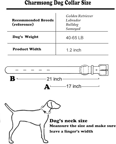 Charmsong Collar de perro con púas fuertes para razas medianas y grandes