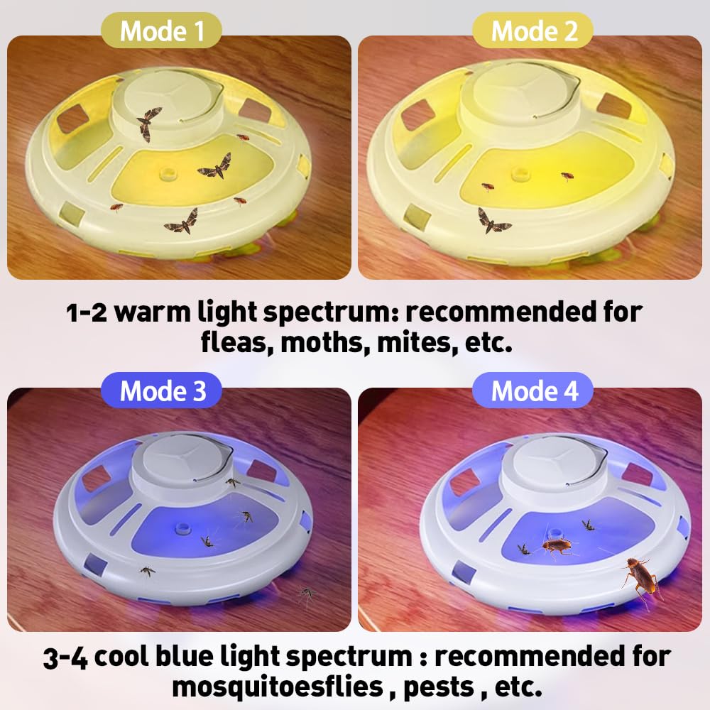 View 3