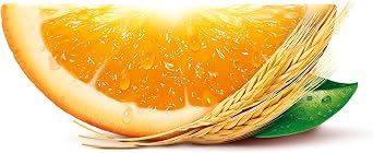 Robinsons Fruit & Barley Orange Squash, 1L