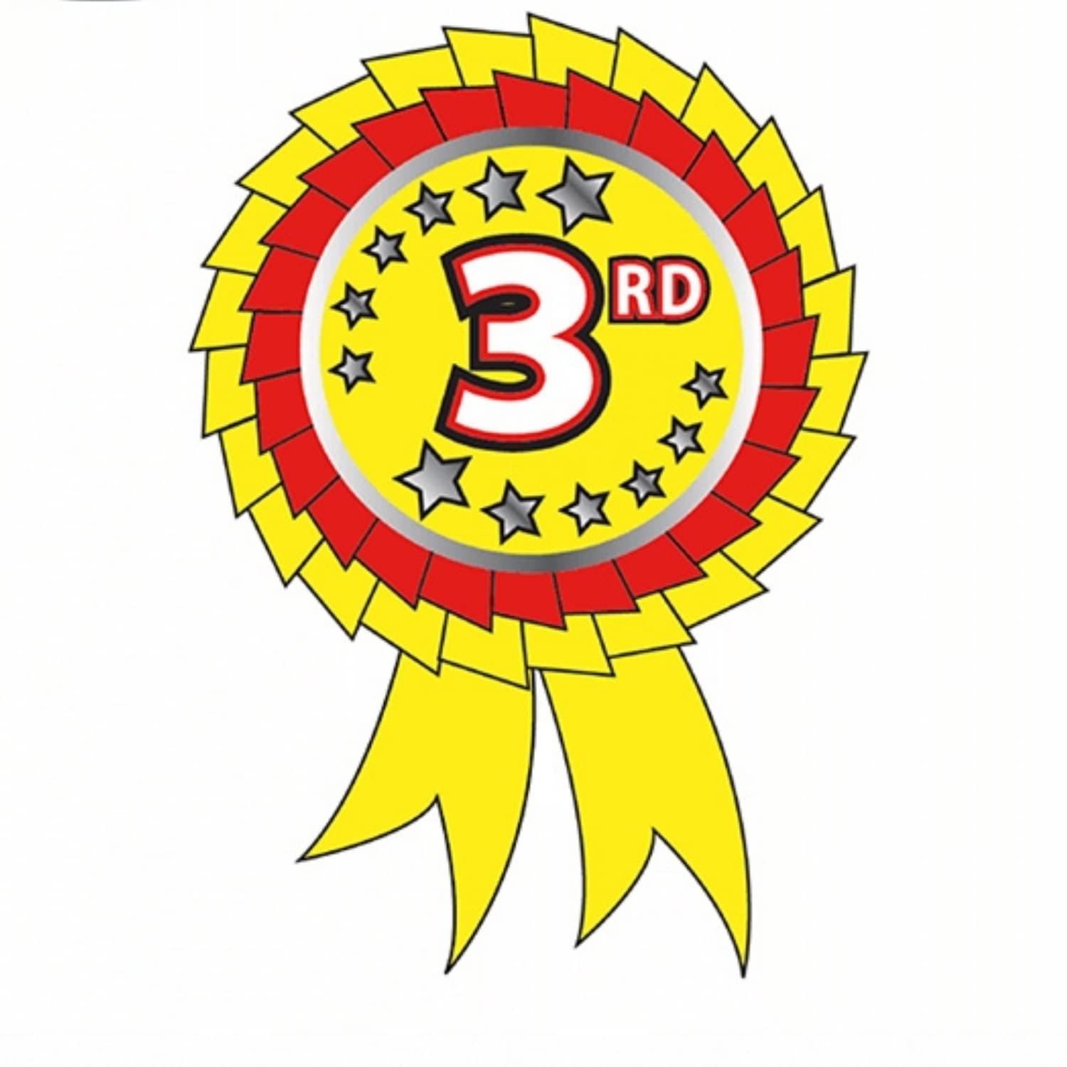 125 Metallic 3rd Place Rosette Childrens Pupils School Praise Teachers Reward Motivational Stickers 54x37mm Primary Teaching Services