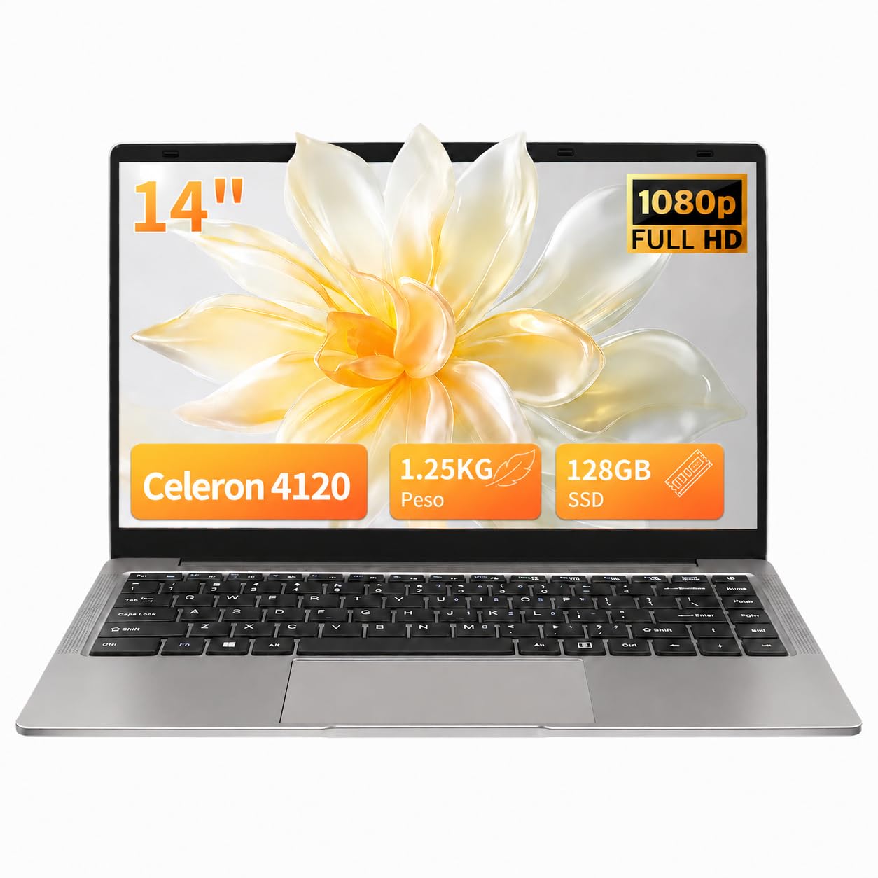 Notebook 14 Pollici PC Portatile Win 11 Pro, Celeron N4120 (fino a 2,6GHz), 8GB RAM DDR4 + 128GB SSD, Display Full HD IPS 1920x1080, Laptop Leggero Ultraportatile, USB 3.0, Grigio