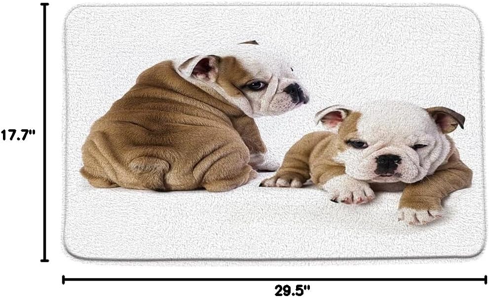 Sunhe Bulldog Bath Mat Funny Dog Cute Lovely France Bulldog for Pet Lover White Brown Bathroom Decor Rug Absorbent Doormat Kitchen Toilet Floor Rug-16x24+18x30 Inch