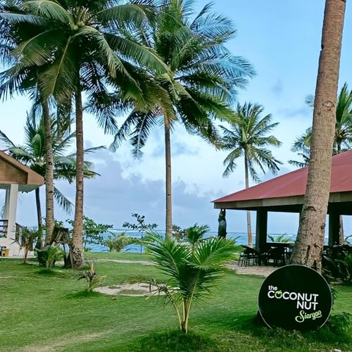 Page de couverture de 🌴 Cinco días no fueron suficientes en The Coconut Nut en Playa Alegría (Siargao, Filipinas).