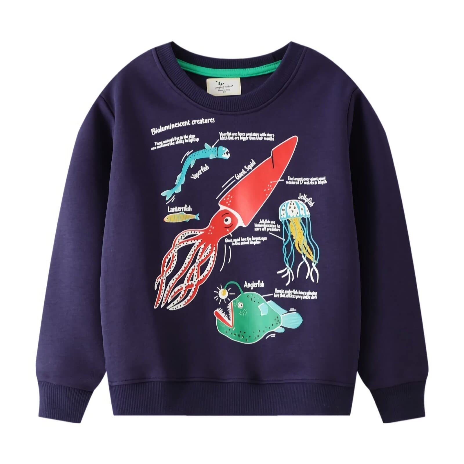 HSTiSan Toddler Boys Cotton Sweatshirt Luminous Dinosaur Pattern Pullover Sweater Long Sleeve Crewneck Tops Tee 2-7T