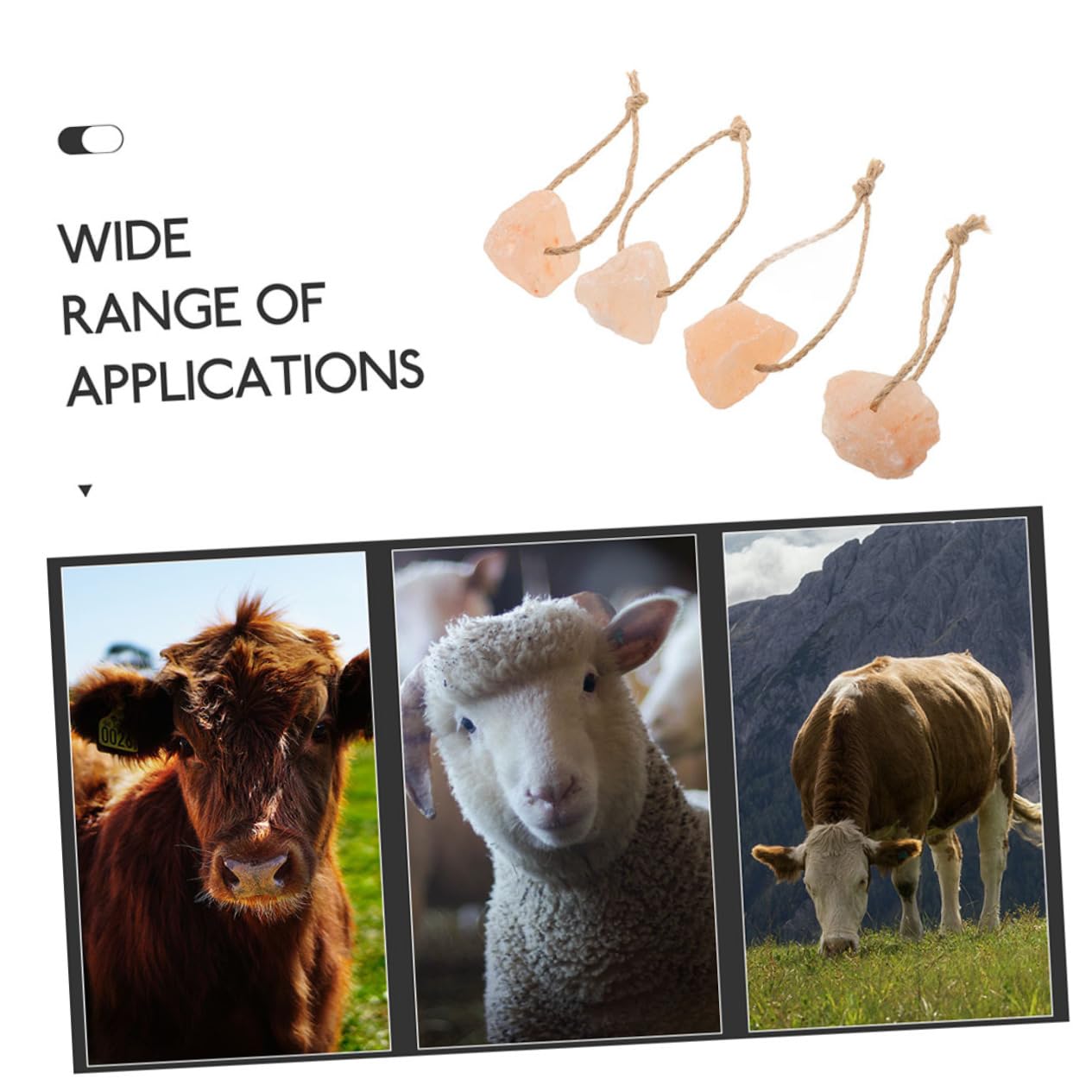 Lot De 3 Blocs Minéraux Solides Pour Chevaux Et Cerfs Jouet Pour Favoriser Une Croissance Saine 4 Pièces X 3