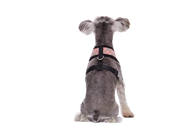 Foto 5 de 5 de Arneses para perros, arnés de algodón suave a cuadros para perros pequeños, arnés para mascotas, para gatos