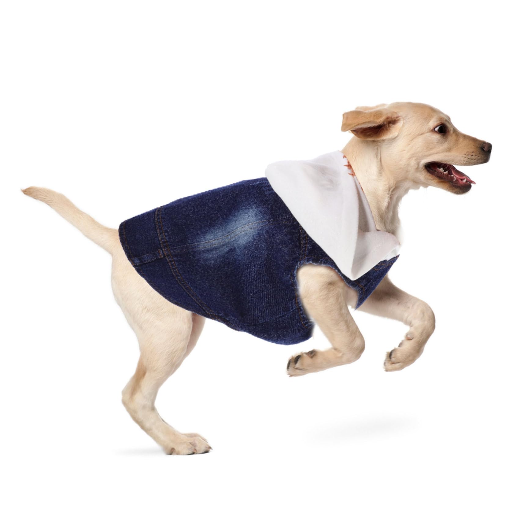 Sosoport Lot De 3 Gilets en Jean pour Chien Et Chat Vêtements pour Animaux De Compagnie Gilet Cool Taille XXL Bonnet Tricoté Fournitures pour Animaux De Compagnie