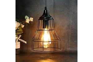 Hanging Battery Operated Light - JHY DESIGN Black Battery Powered Cage Light with Timer