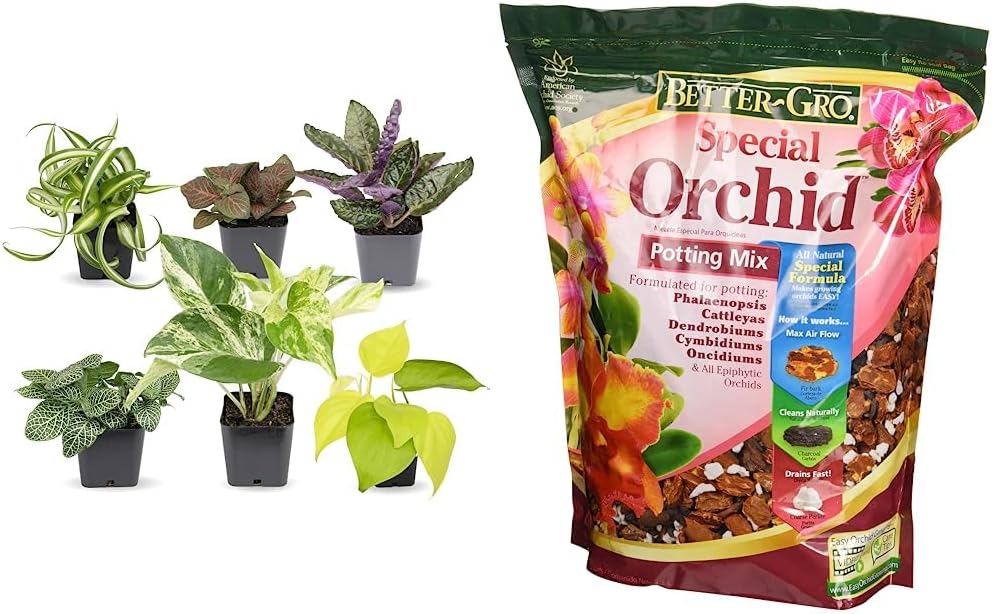 Easy to Grow Houseplants (6 Pack), Live House Plants in Plant Containers & Sun Bulb 50000 Better GRO Special Orchid Mix, 4-Quart