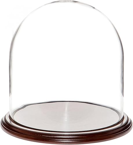 Miniatura 3 de Plymor Cúpula de cristal de 11.75 x 12 pulgadas (base de nogal)
