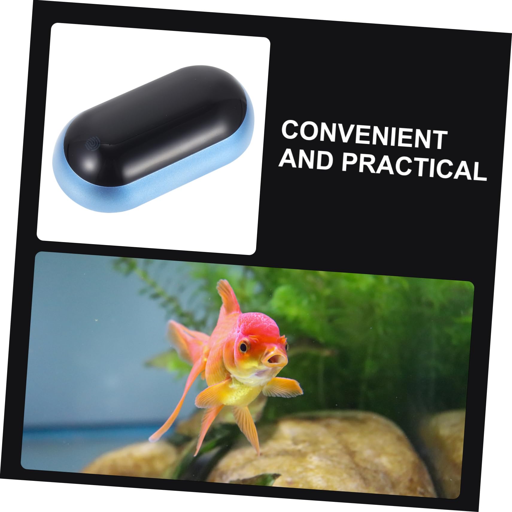 BESPORTBLE 3stücke Aquarium Thermometer Digital Mit -display Hochpräzises Temperaturmessgerät Für Fischbecken Wassertester Und Einfach Zu Bedienen Und
