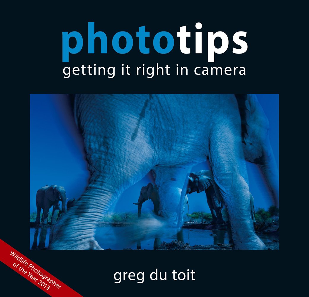 Phototips: Getting It Right In Camera