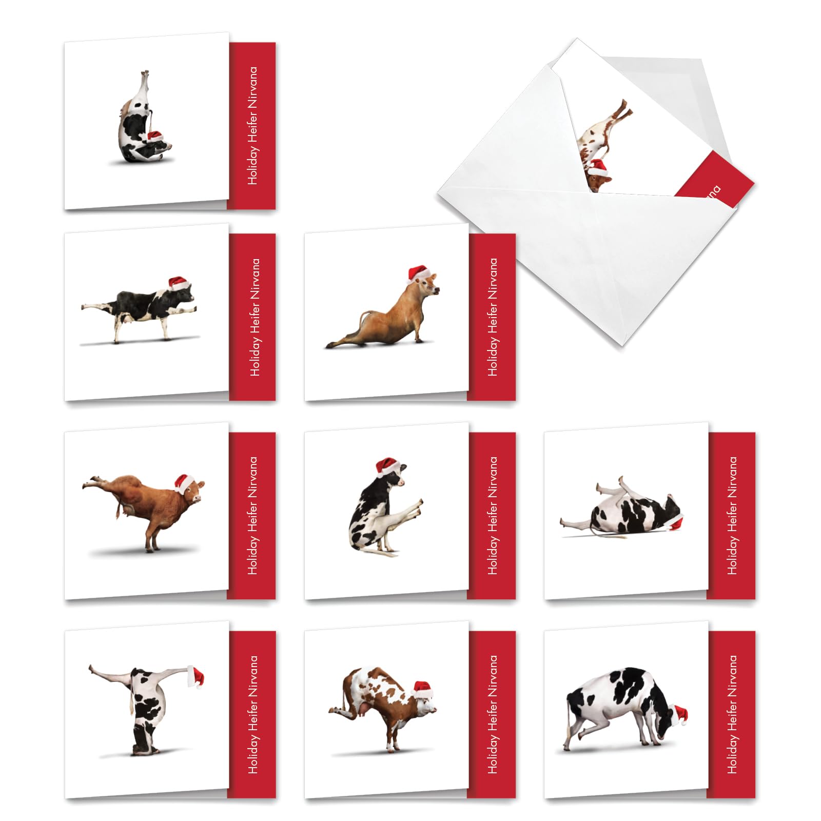 Best Card Co 10 Christmas Blank Boxed Cards Cow MQ6545XSB-B1x10