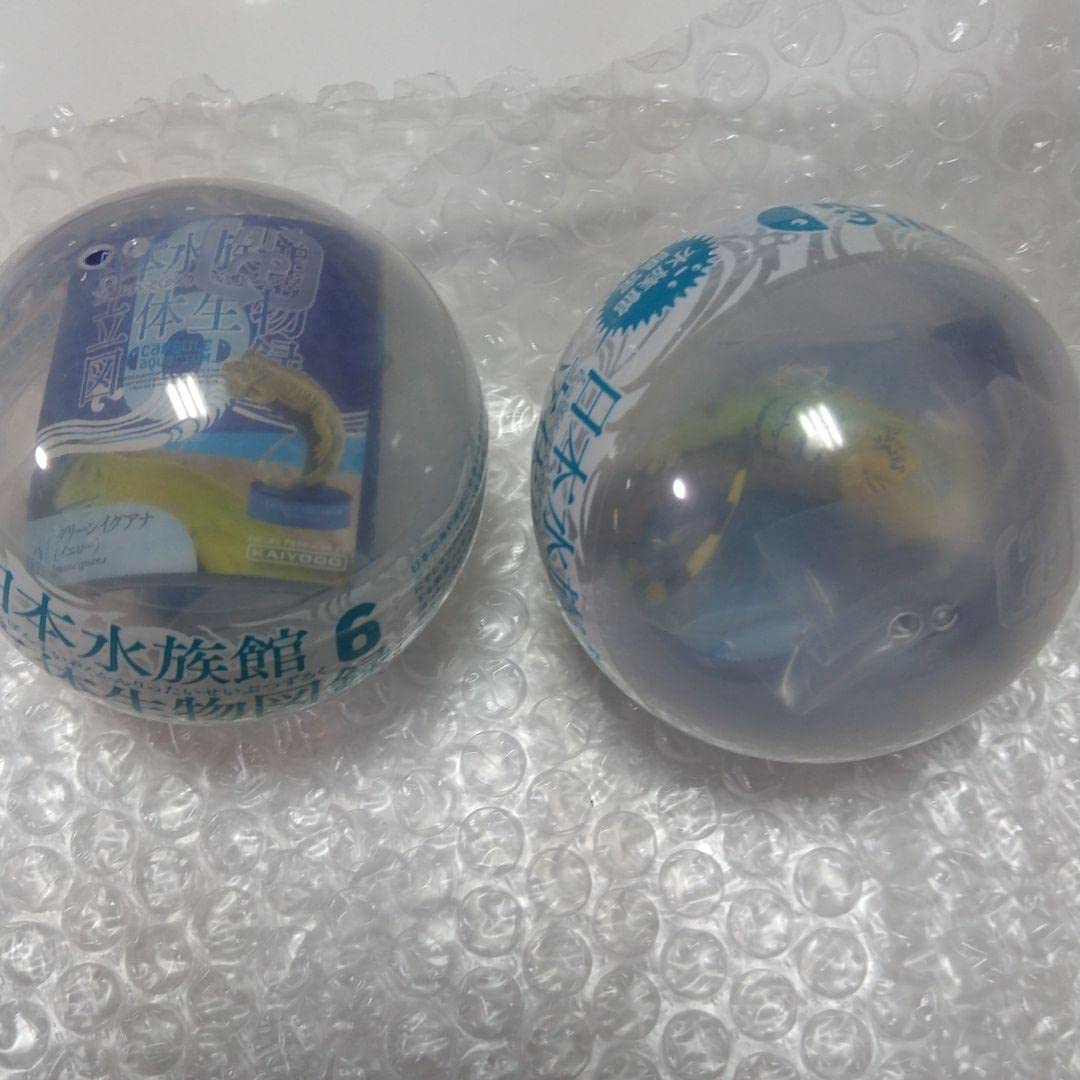 Amazon | 日本水族館立体生物図録第六巻全12種類フルコンプ カプセル 