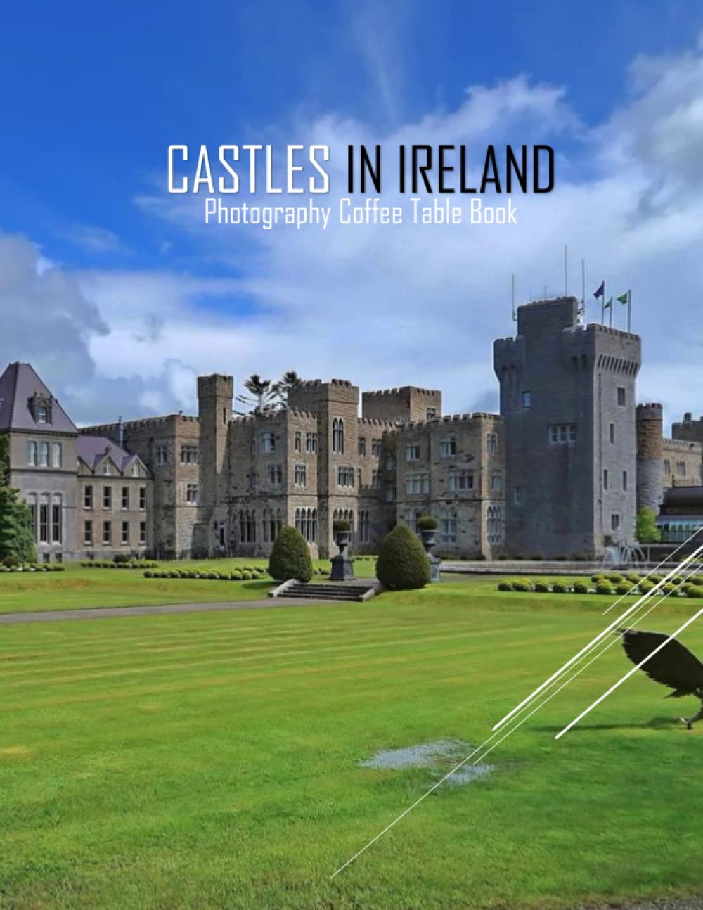 CASTLES IN IRELAND Photography Coffee Table