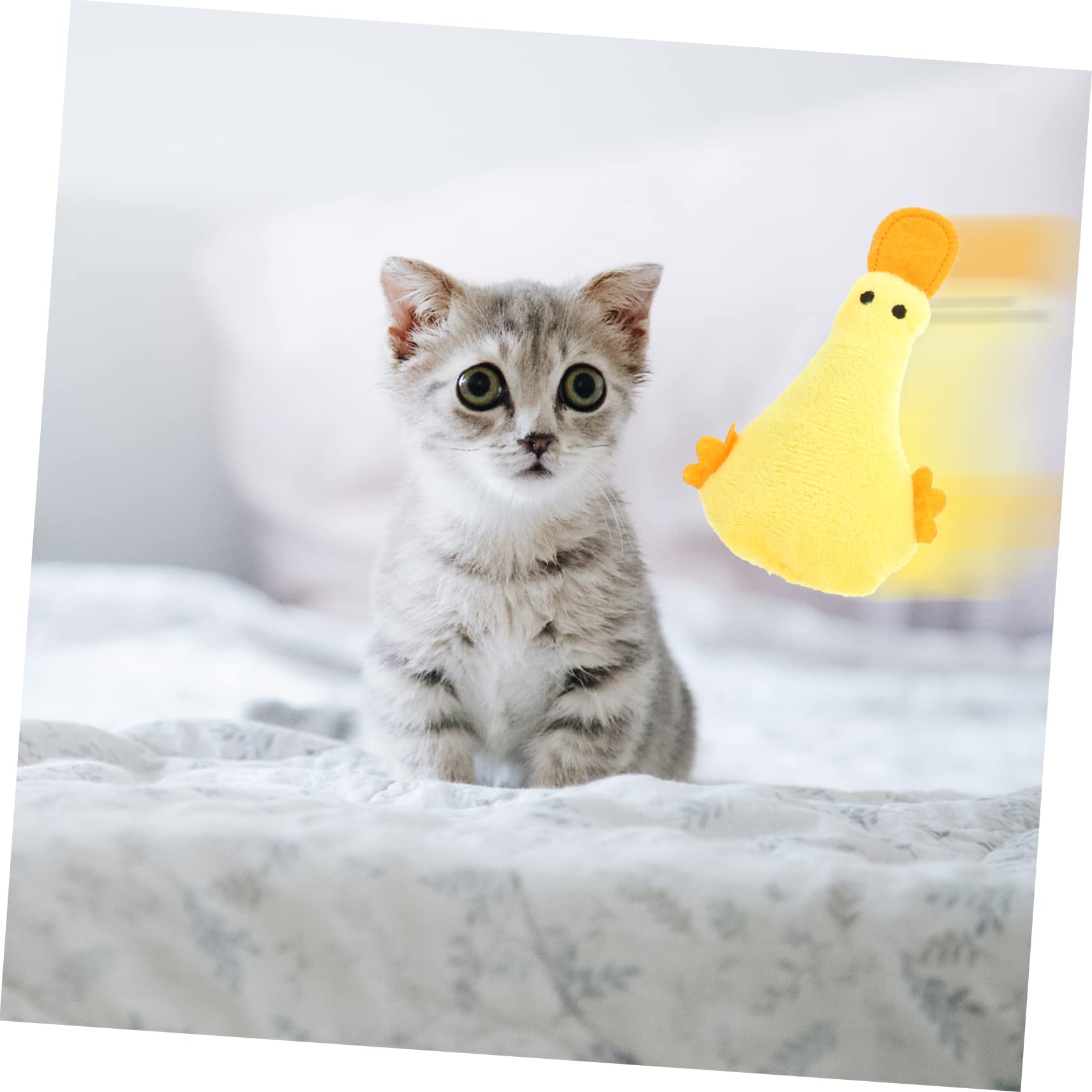 SUPVOX 20pièces Jouets Peluche pour Chats avec Cataire Jouets Amusants pour Intérieur Accessoires pour Animaux De Compagnie