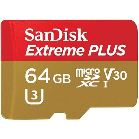 SanDisk 256GB Extreme Go Scheda MicroSDXC Adattatore SD (per - Foto 4