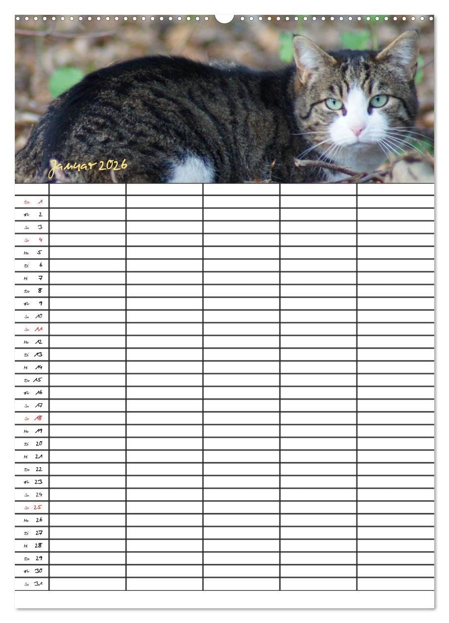 Bauernhoftiere Familienplaner (hochwertiger Premium Wandkalender 2026 DIN A2 hoch), Kunstdruck in Hochglanz: Nutz- und Haustiere (CALVENDO Tiere)