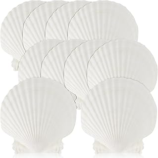 15 PCS Natural Sea Shell Large White, 4-4.7 Inch Scallop Shells for DIY Craft, Serving Food, Baking and More