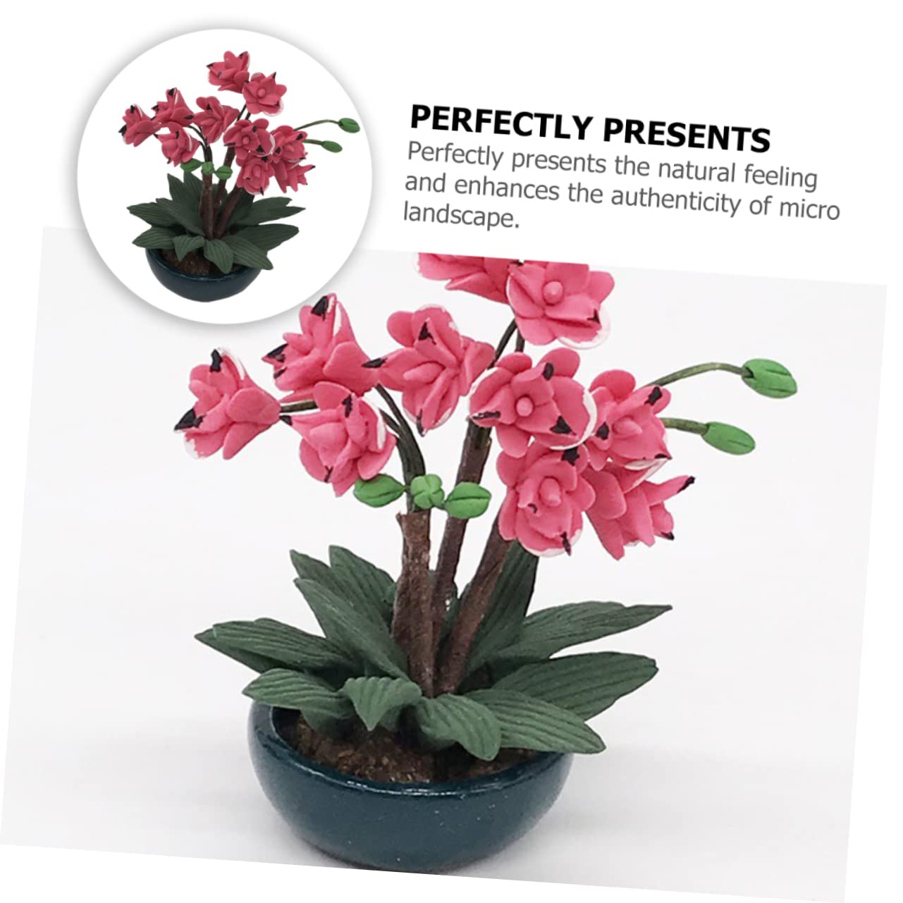 Operitacx 5stücke Miniatur Blumen Gras Modell Landschaft Künstliche Pflanzen Für Szenerie Miniature Bonsai Zubehör Für Spieltische Und Landschaftsgestaltung