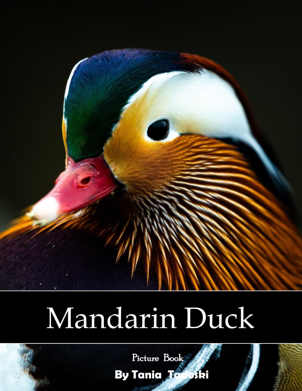 Mandarin Duck: Mandarin Duck: Colorful Plumage, Ponds, Courtship, Waterfowl, Asia and More