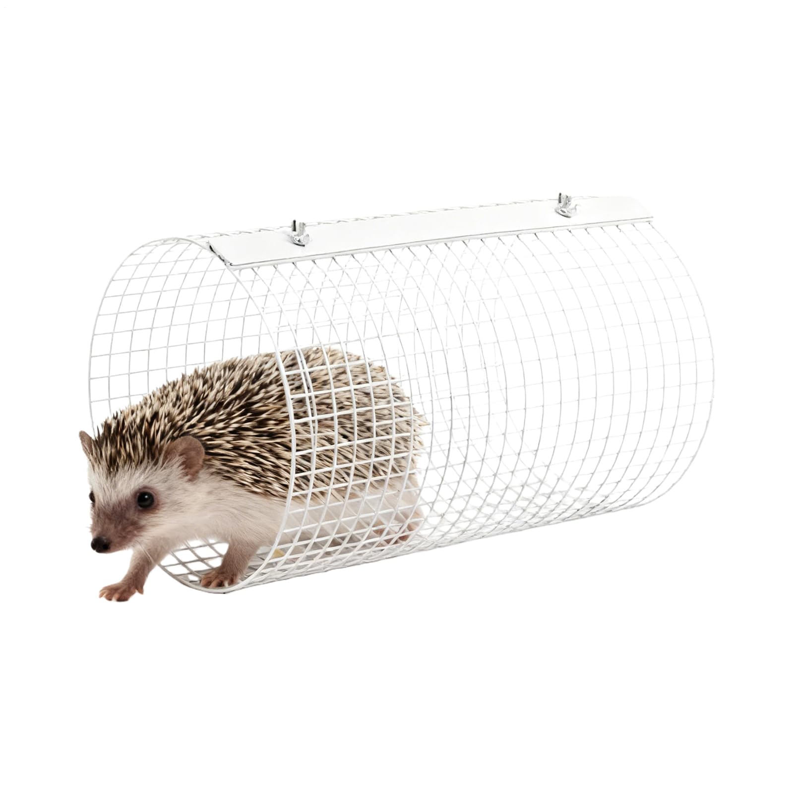 Tunnel pour Petits Animaux Accessoires pour Cage en Métal Perméable À L'Air