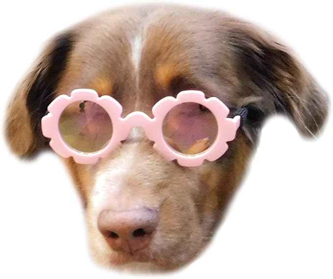 G001 Gafas de sol para perros talla mediana (20-40lbs) Rosa Flor-Rosa miniatura 2