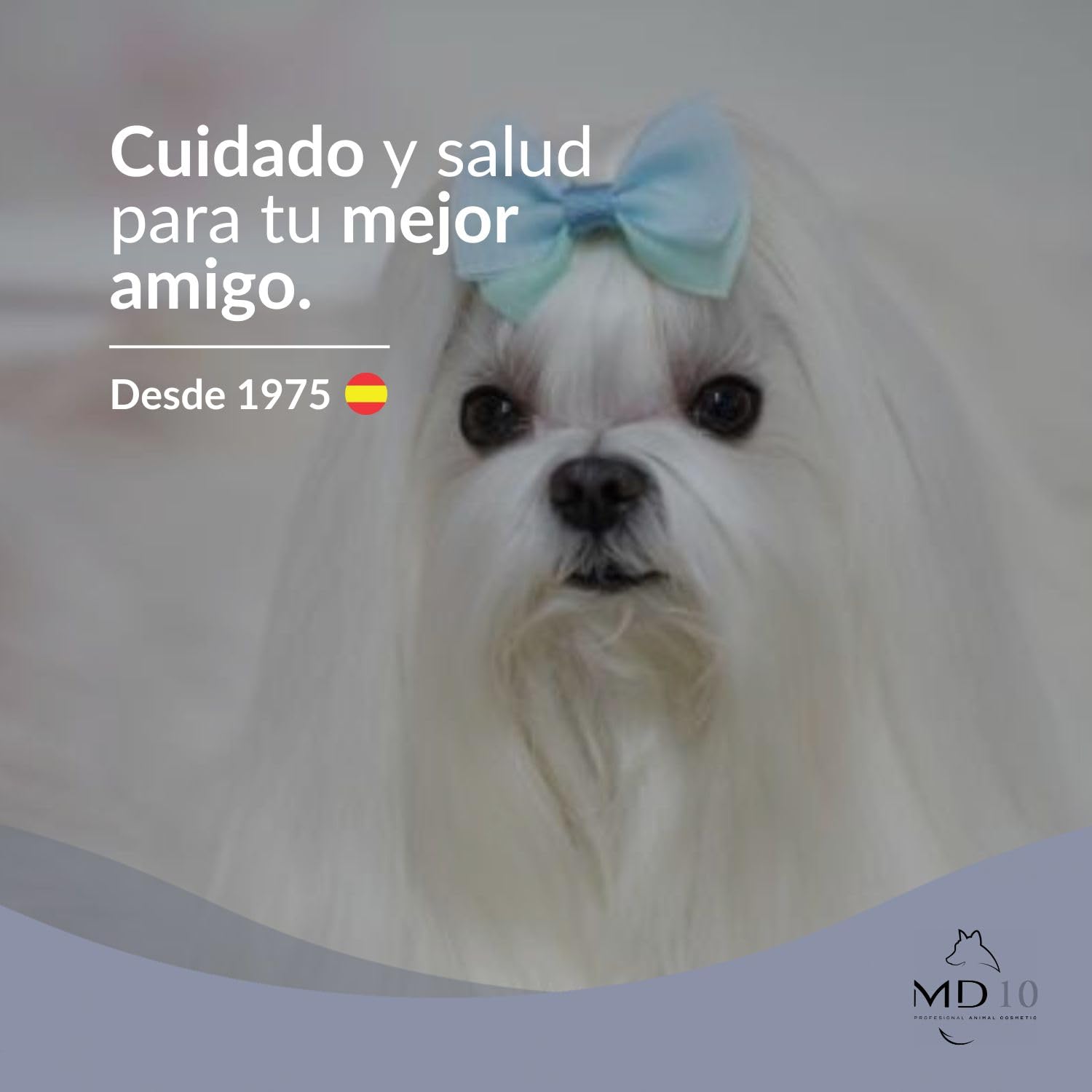 Champú para Bichón Maltés - Champú para Perros Hidratante y Dermoprotector con Vitamina D-Pantenol - Realza el Blanco Natural del Pelo - Vegano - Fabricado en España - 2 l - MD-10 COLLECTION