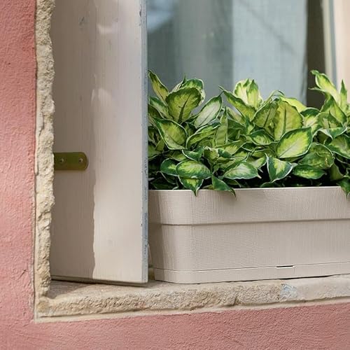 Kigima Pflanzenkasten 4er Set 30x13x12 Anthrazit – Robuster Blumenkasten für Balkon & Fensterbrett aus Plastik – Stylischer Balkon Blumenkasten mit Wasserspeicher – Kleiner Balkonkasten für Blumen