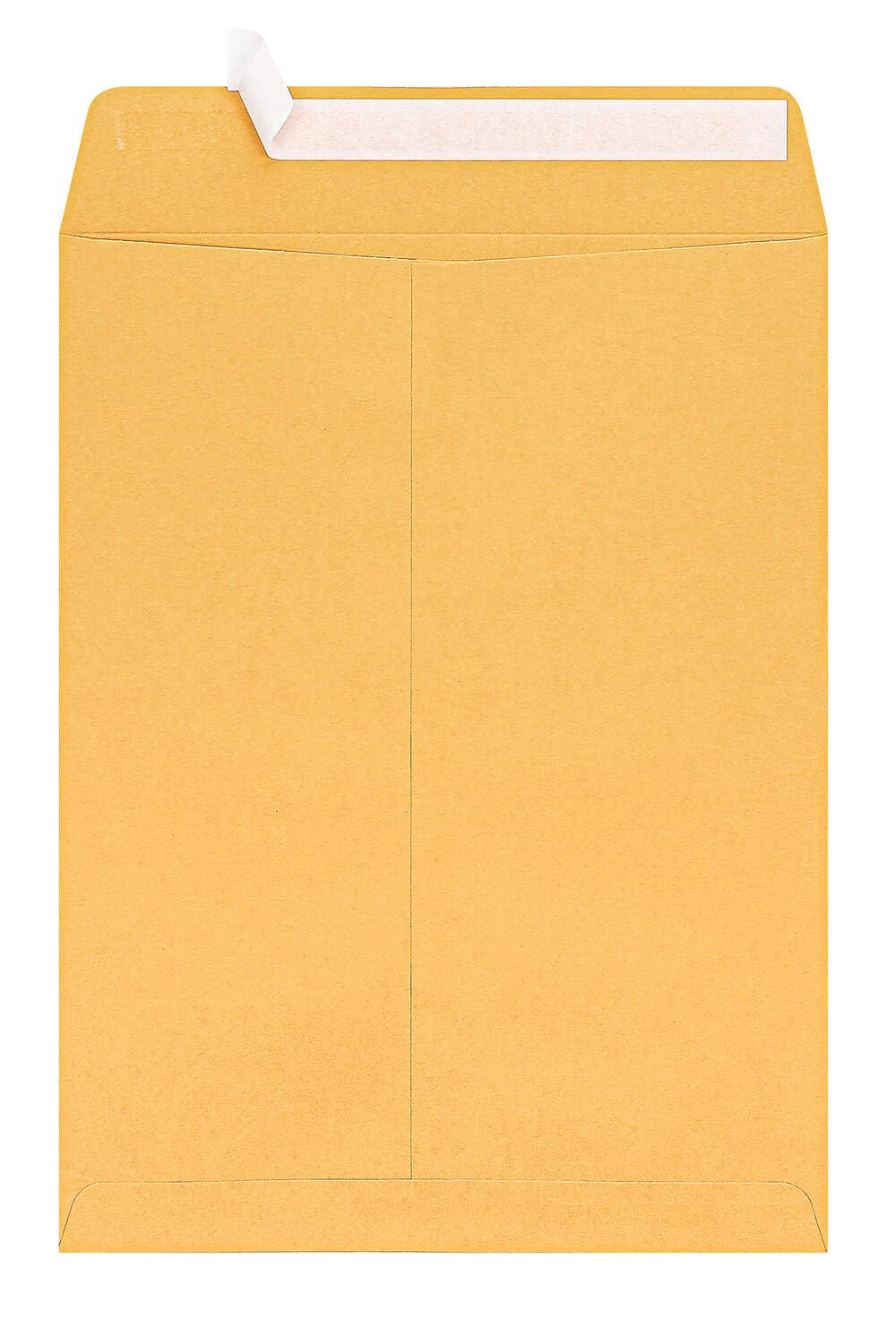 Catalogo Buste (estremità aperta), in carta kraft, 12,7 kg, confezione da 100 pezzi, con chiusura adesiva, 24,1 x 31,8 cm
