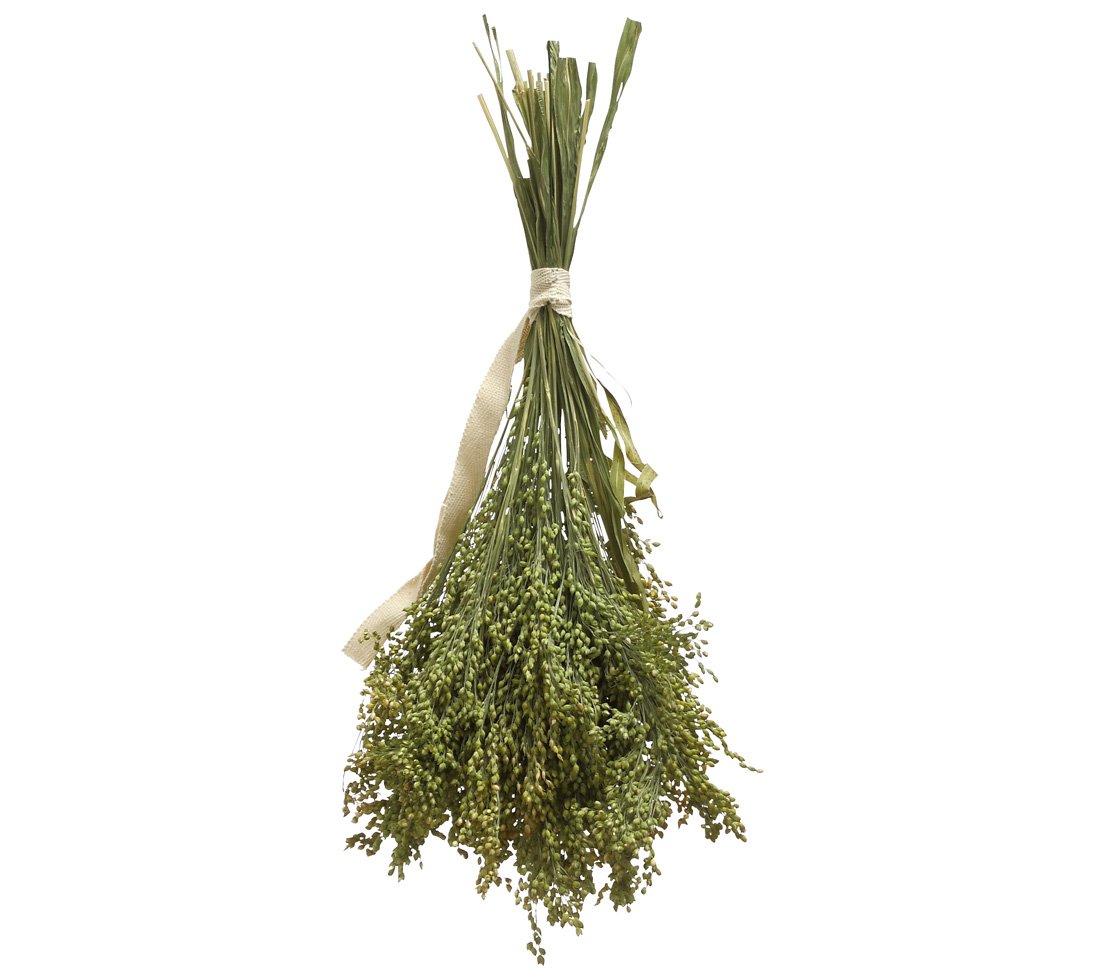 Dehner Best Nature - Bocadillo para pájaros, 100% Natural, para periquitos, Canarios, Aves Ornamentales, 10 x 50 g (500 g)
