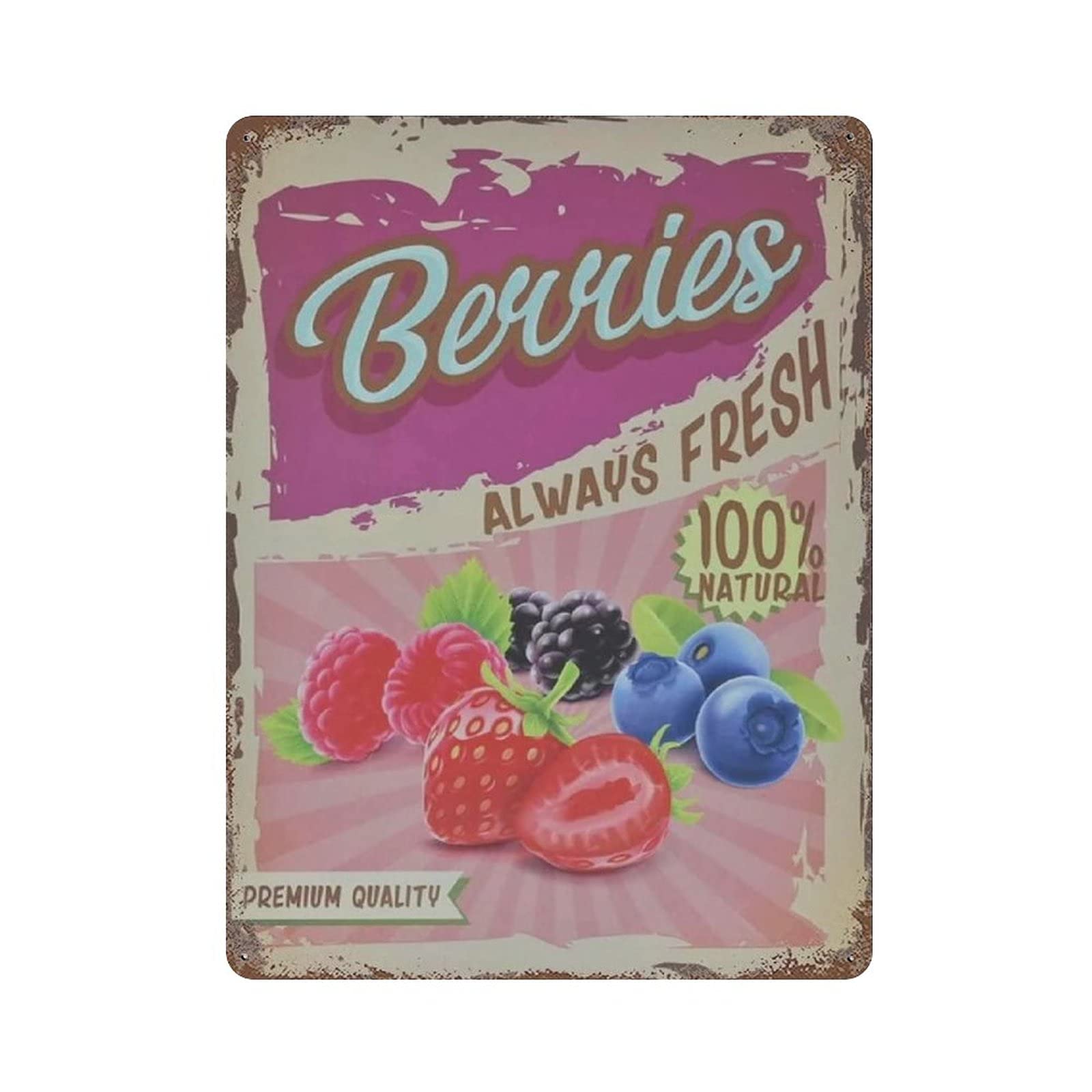 Metal Tin Sign Berries Farm Fruit Vintage Tin Poster Metal Sign Wall Decoration Country Kitchen Home Garage Decor 16"x12"