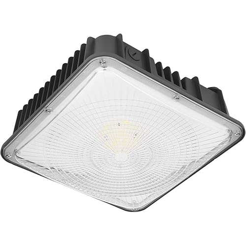 LED Canopy Light 80W, 9600lm, 100-277VAC, ETL Listed, 5000K Daylight White, IP65 Waterproof, 10.4 x 10.4, Outdoor LED Gas Station Light Fixture, Carport, Warehouse, Area & Outdoor Lighting - Brown