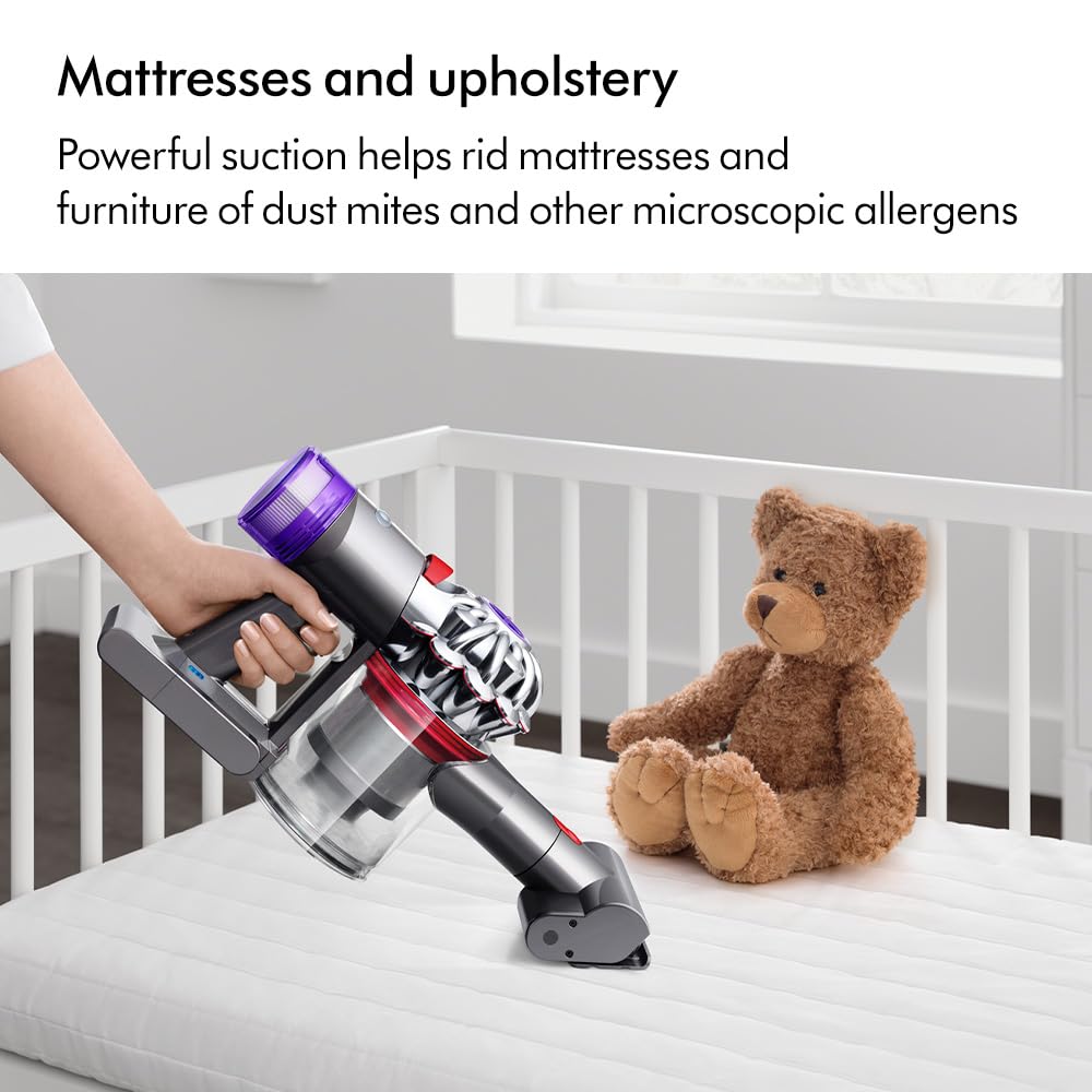 Dyson V8 Slim™ Fluffy, 385910-01 : Amazon.sg: Home