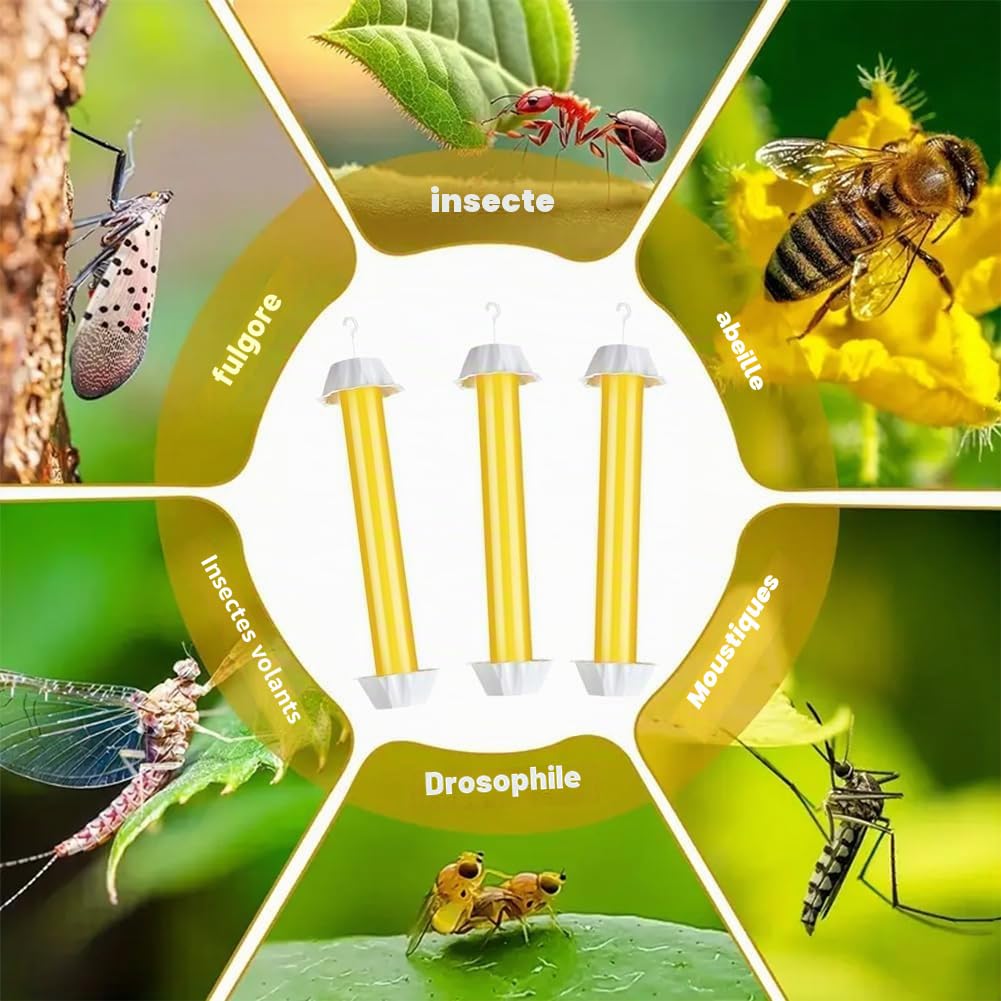 Panngu Lot de 6 Grands pièges à Mouches pour l'intérieur et l'extérieur - avec Bandes adhésives - Défense Contre Les moustiques et Les Fruits - À Poser et à Suspendre