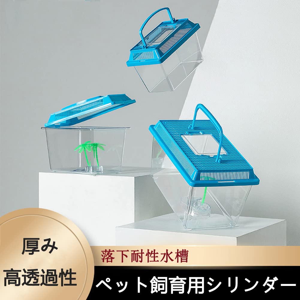 Amazon | 飼育ケース 飼育容器 虫かご 昆虫 飼育ランド ベタ水槽セット