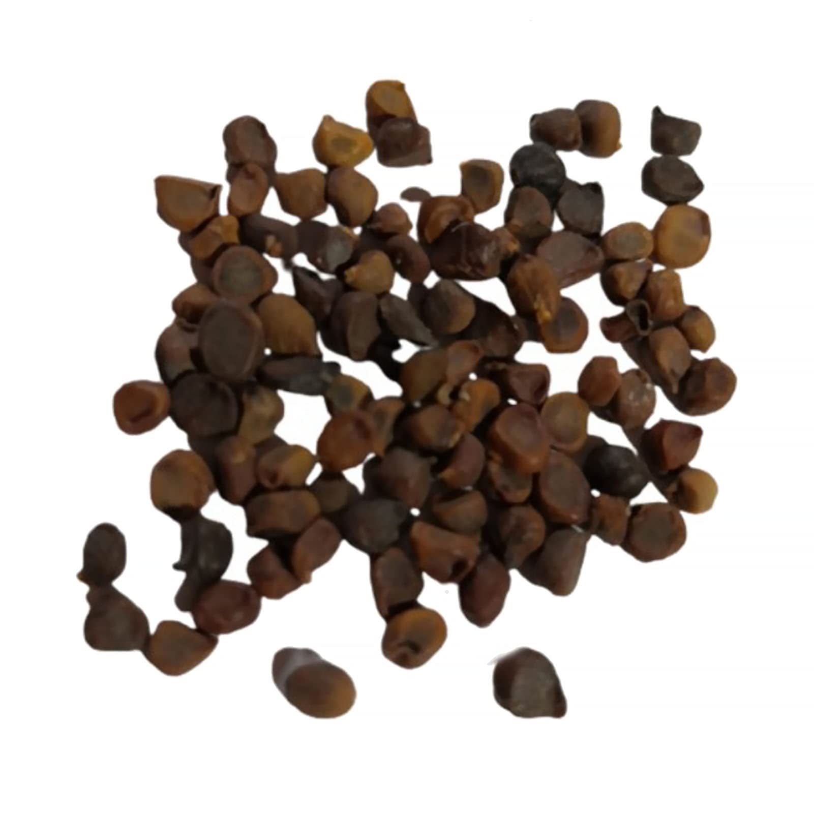 100Pcs/Bag Orchids Seeds Well Cultivate Decorative Practical Well Flowering Orchids Seeds