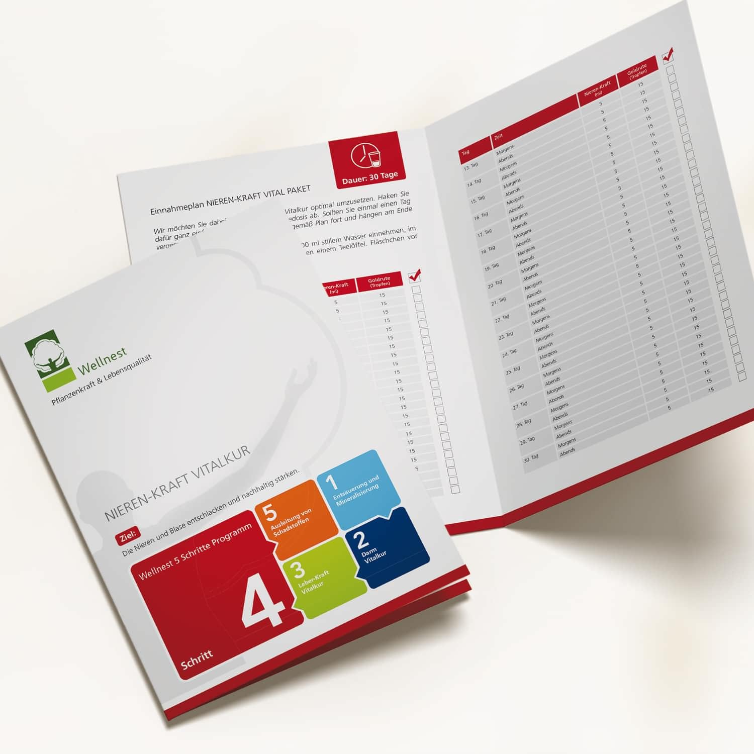 Nieren-Kraft Detox-Kur-Paket (Entgiftungs-Kurpaket für 30 Tage Nierenreinigung nach Hulda Clark) - 100% pflanzlich - einfache Handhabung inkl. Magazin