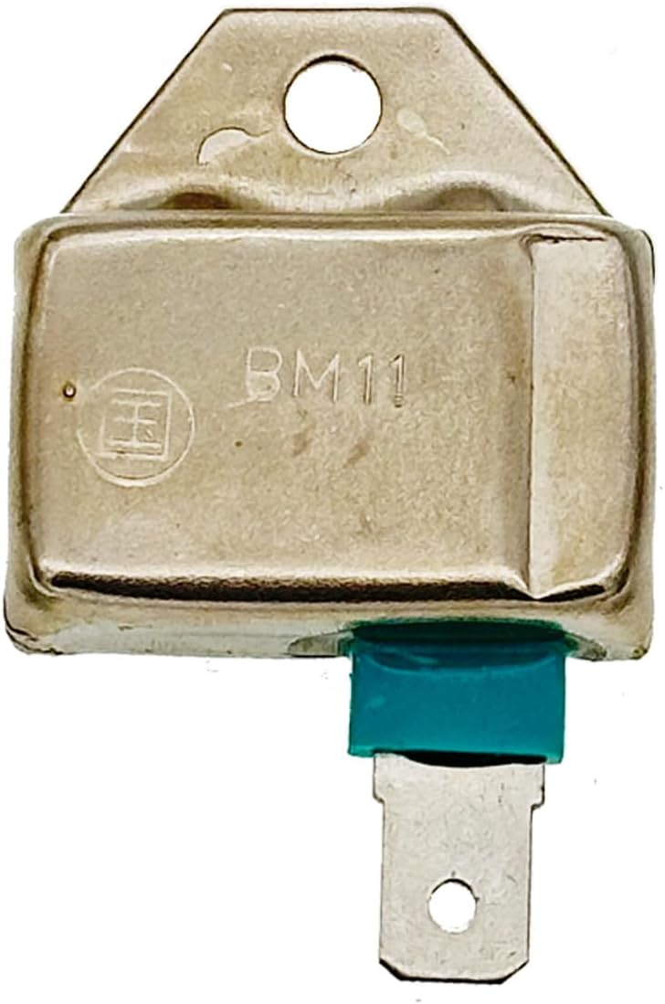 21119-2161 Ignition Module for Kawasaki M73484 M70114 AM132770 BM11 For John Deere 175 245 262 265 320 325 345 Replacement 2119-2139 211192161 2119-2095 211192095 21119-2101 Lesco 50409