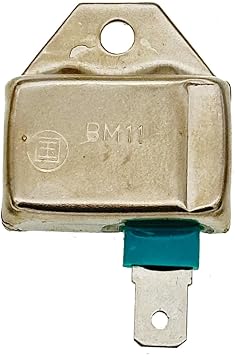 21119-2161 Ignition Module for Kawasaki M73484 M70114 AM132770 BM11 For John Deere 175 245 262 265 320 325 345 Replacement 2119-2139 211192161 2119-2095 211192095 21119-2101 Lesco 50409
