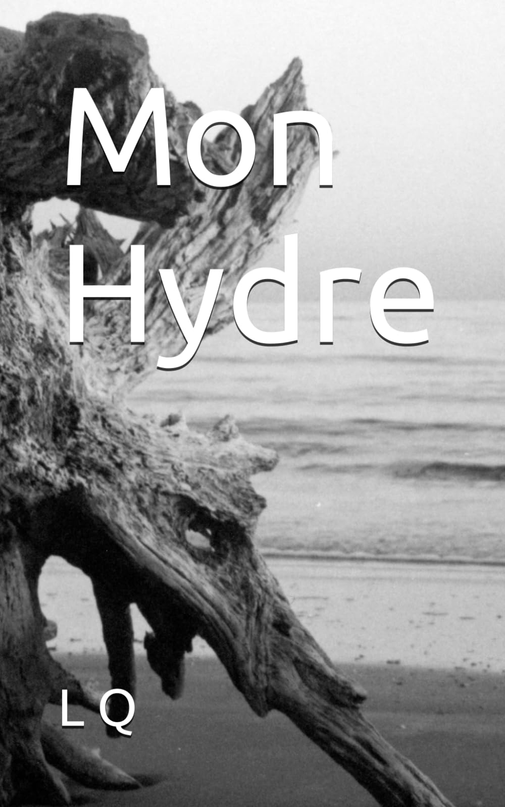 Mon Hydre: Poèmes sur mes monstres intérieurs (Mon Bestiaire Intérieur)