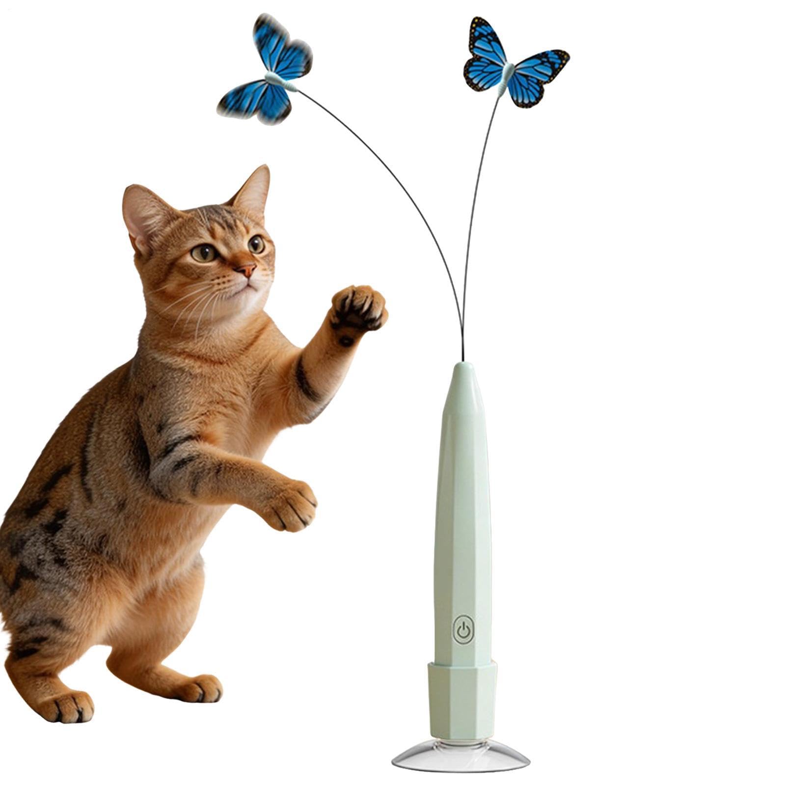interactivo para gatos | automática con , juguetes de ejercicio para gatos en interiores, para aliviar el aburrimiento, enriquecer el interior del hogar y apartamento