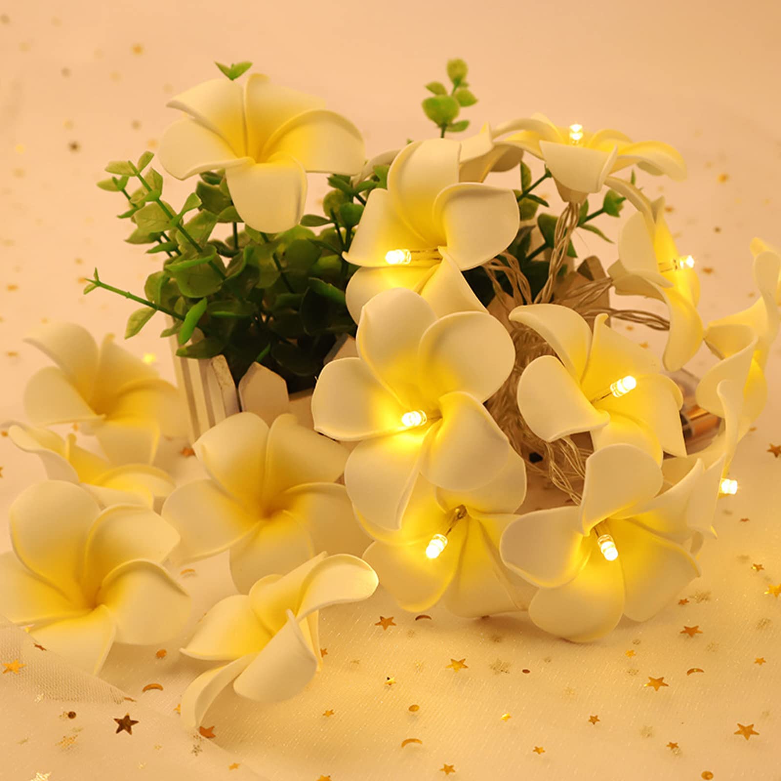 Elegant Wedding Reception Party Rose String Lights 40/20/10 LED Garland Fata Alientata a Batteria 6/3/2 per Decorazioni di Feste e atrioni del 2026 a $16.49