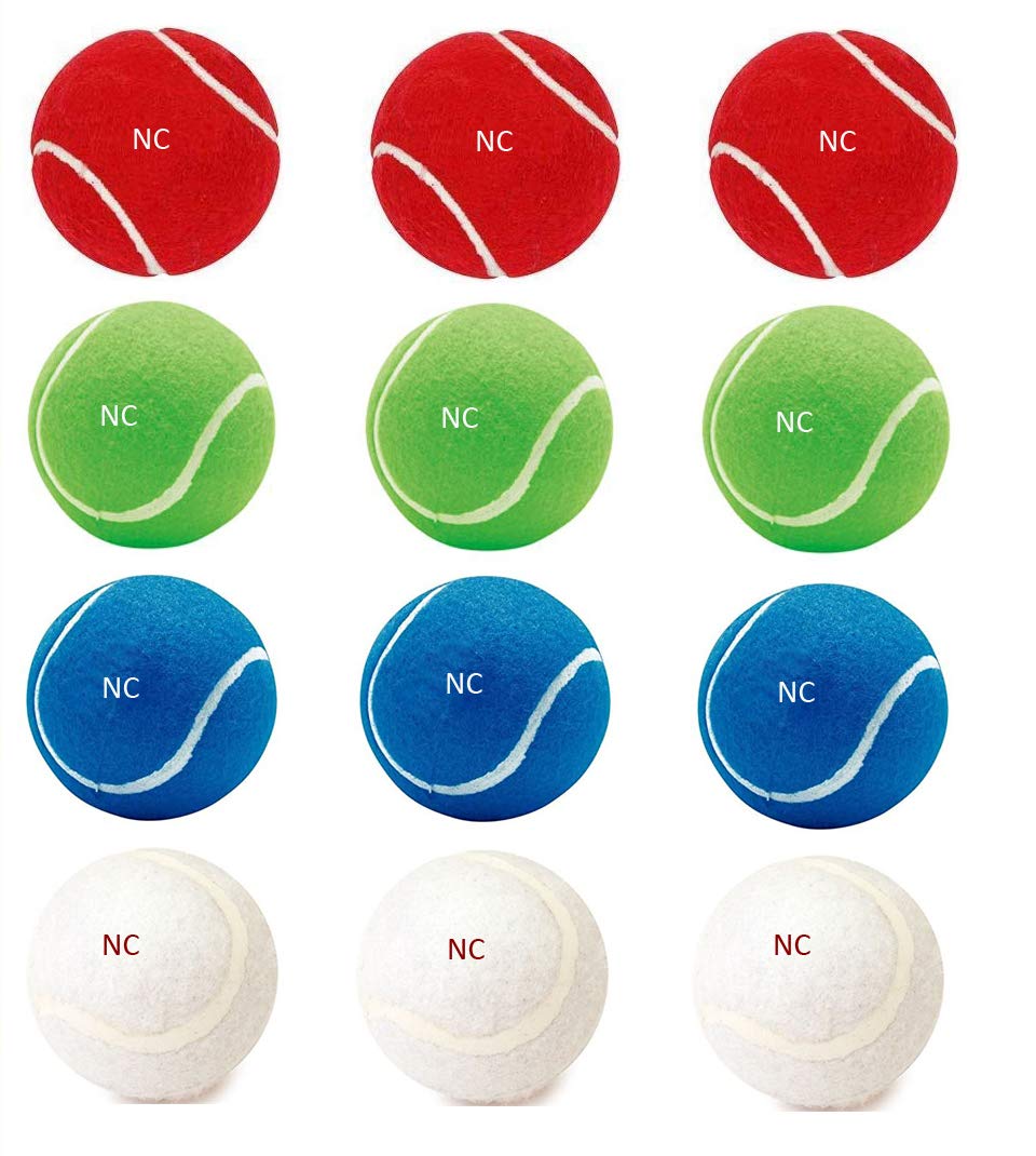 NC TB1 Rubber Tennis/Cricket Ball (6pcs, Multicolour) Standard Size (B08W4MBVSL) Amazon Price History, Amazon Price Tracker