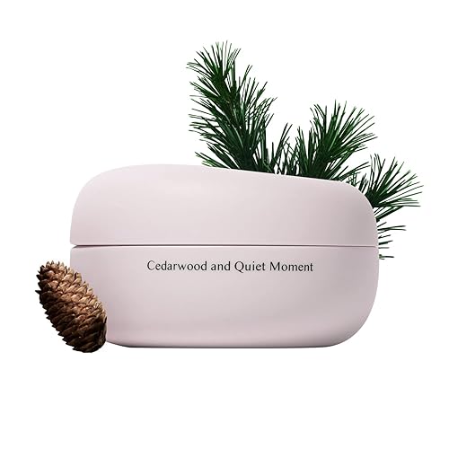 AK AEKYUNG TISLO Crema de manos perfumada madera de cedro y momento silencioso hidratante diario para manos secas no grasosa textura de loción