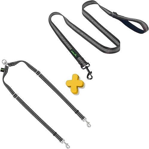 Divisor de dos correas para perros con correa de nailon de 5 pies