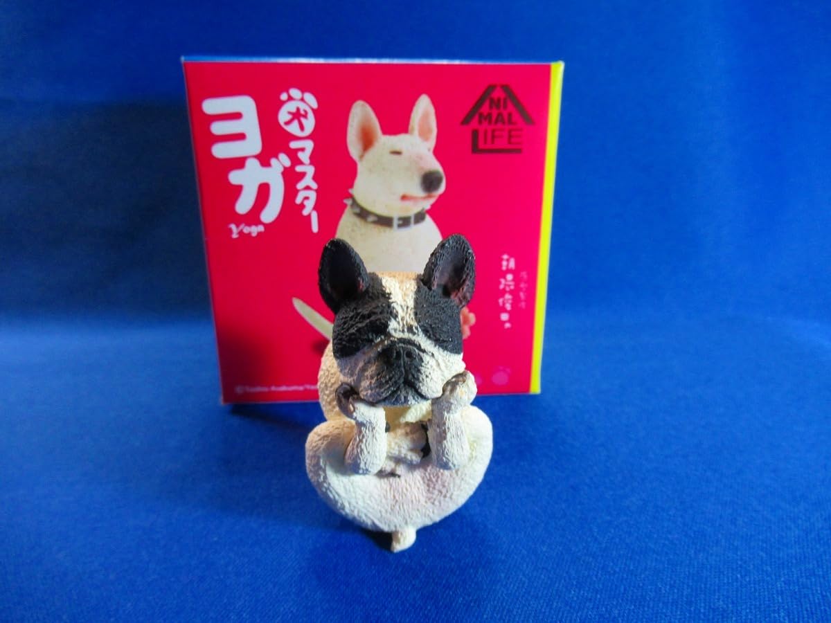 Amazon.co.jp: 朝隈俊男 アニマルライフ 犬のヨガマスター ボストン