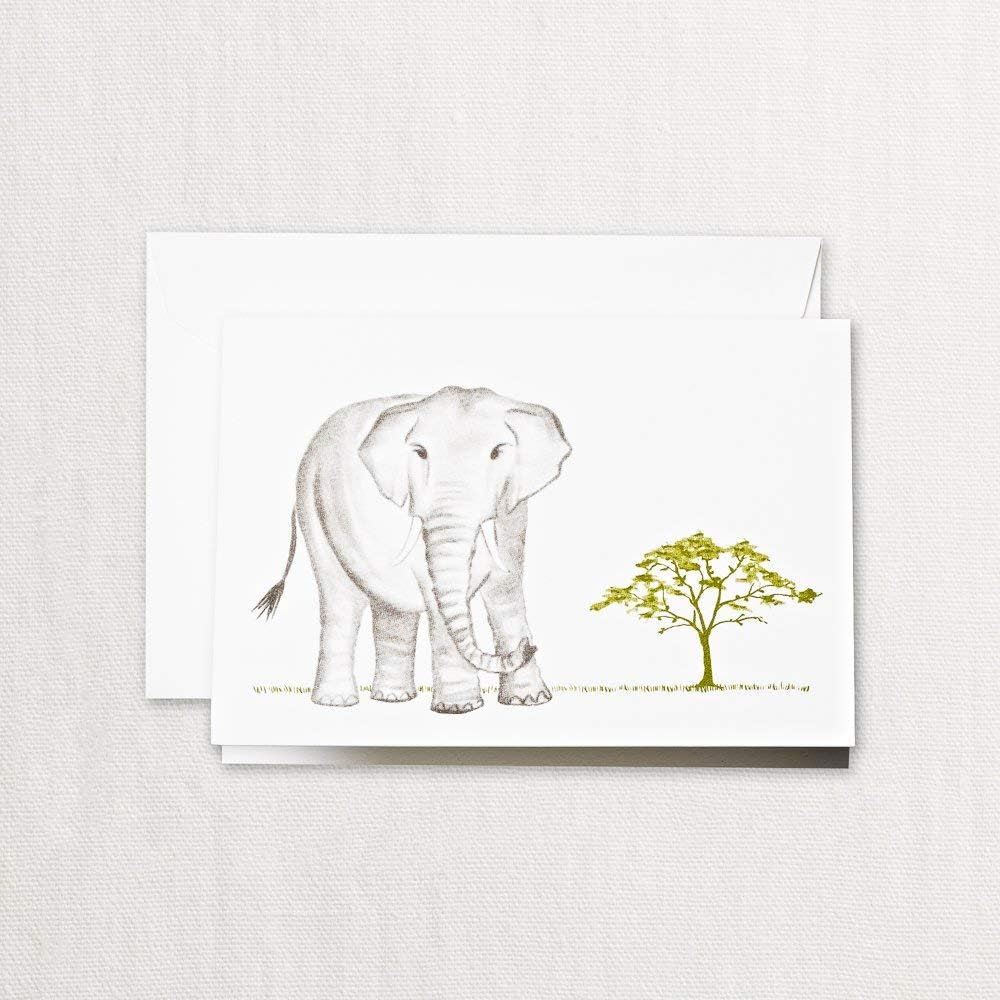 Crane & Co. Brushstroke Elephant Note- Pack of 10 Cards